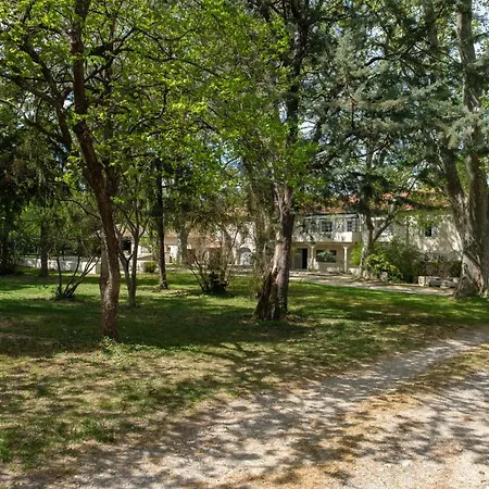 Mas neuf de Romanin : Mas Provençal Familial Saint-Rémy-de-Provence Exterior foto