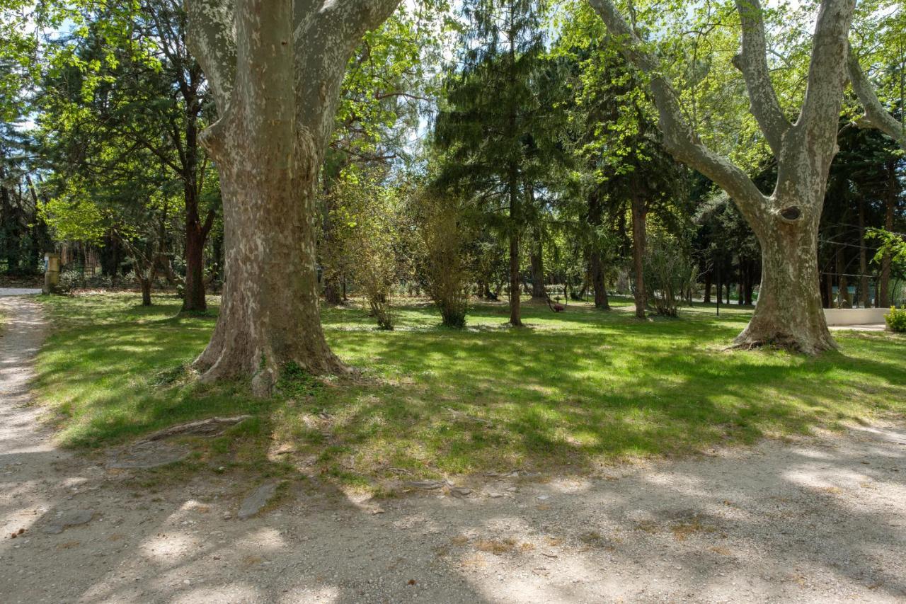 Mas Neuf De Romanin : Mas Provençal Familial Saint-Rémy-de-Provence