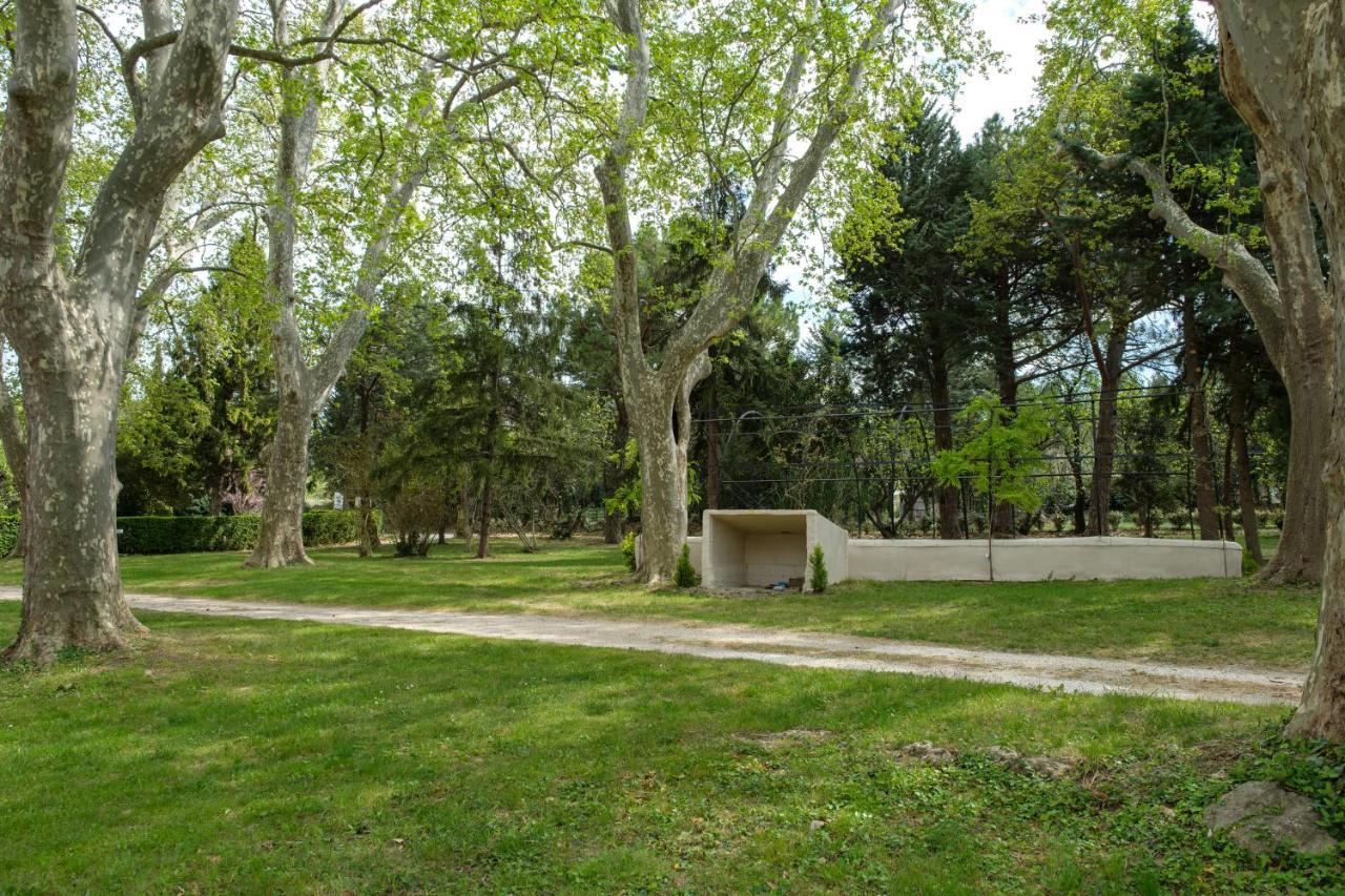 Mas Neuf De Romanin : Mas Provençal Familial * Saint-Rémy-de-Provence