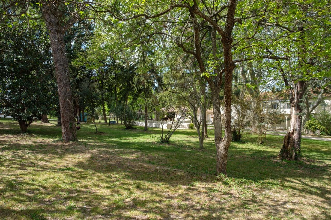Mas Neuf De Romanin : Mas Provencal Familial Saint-Remy-de-Provence