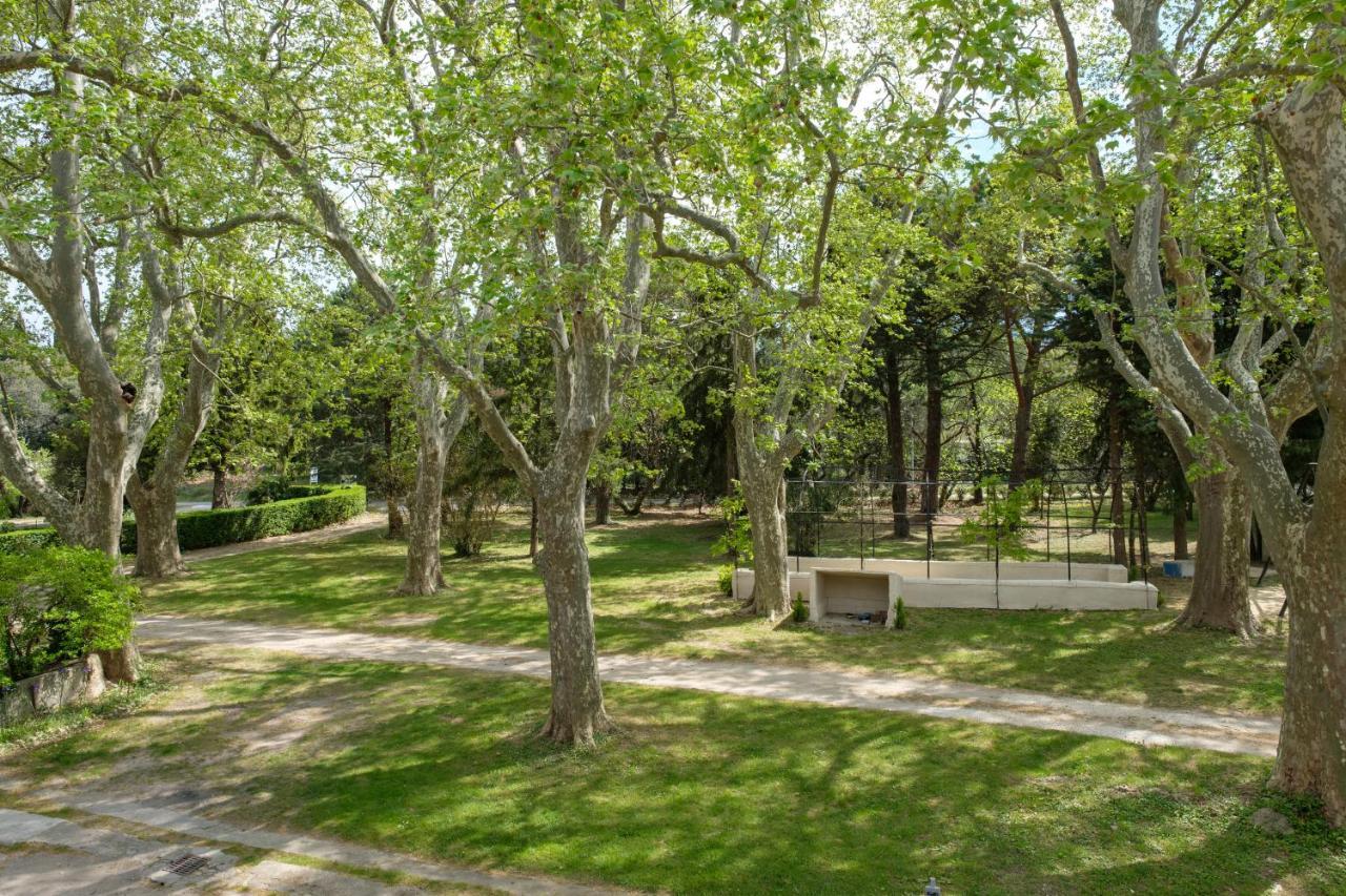 Mas Neuf De Romanin : Mas Provencal Familial