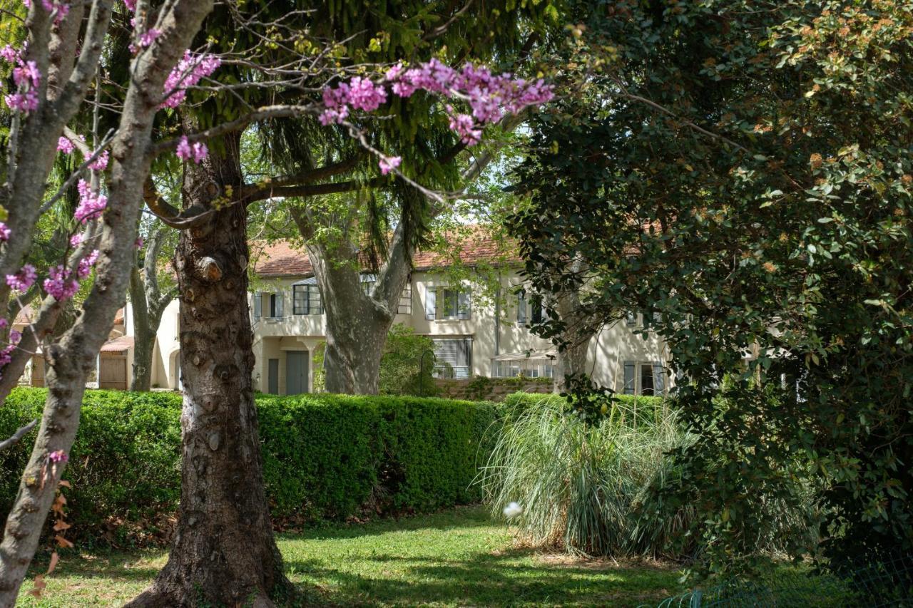 Mas Neuf De Romanin : Mas Provençal Familial * Saint-Rémy-de-Provence