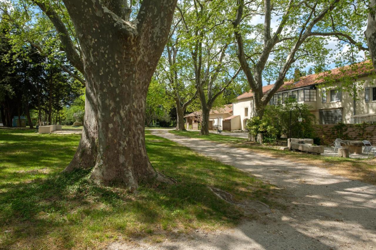 Mas Neuf De Romanin : Mas Provençal Familial * Saint-Rémy-de-Provence