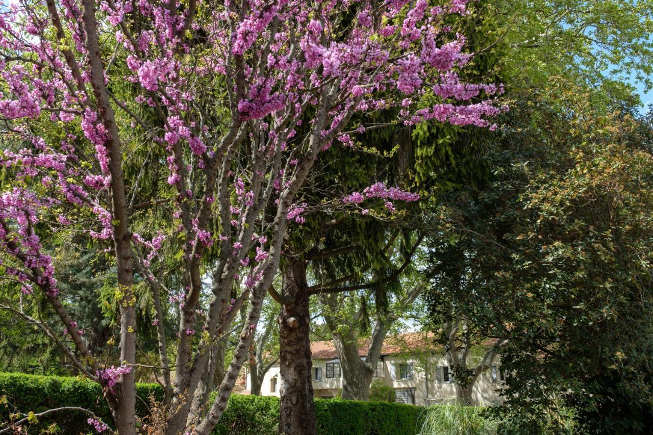 Mas Neuf De Romanin : Mas Provençal Familial Apartment